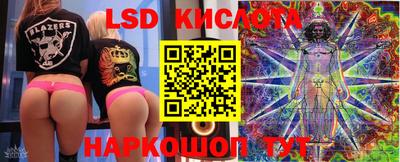 Альфа ПВП Будённовск