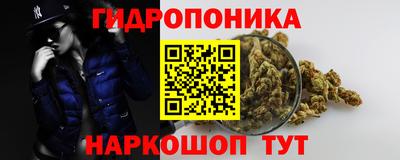 Альфа ПВП Будённовск
